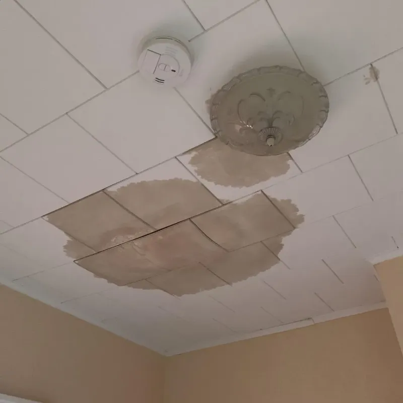 Ceiling Water Damage Repair in West Liberty, IA