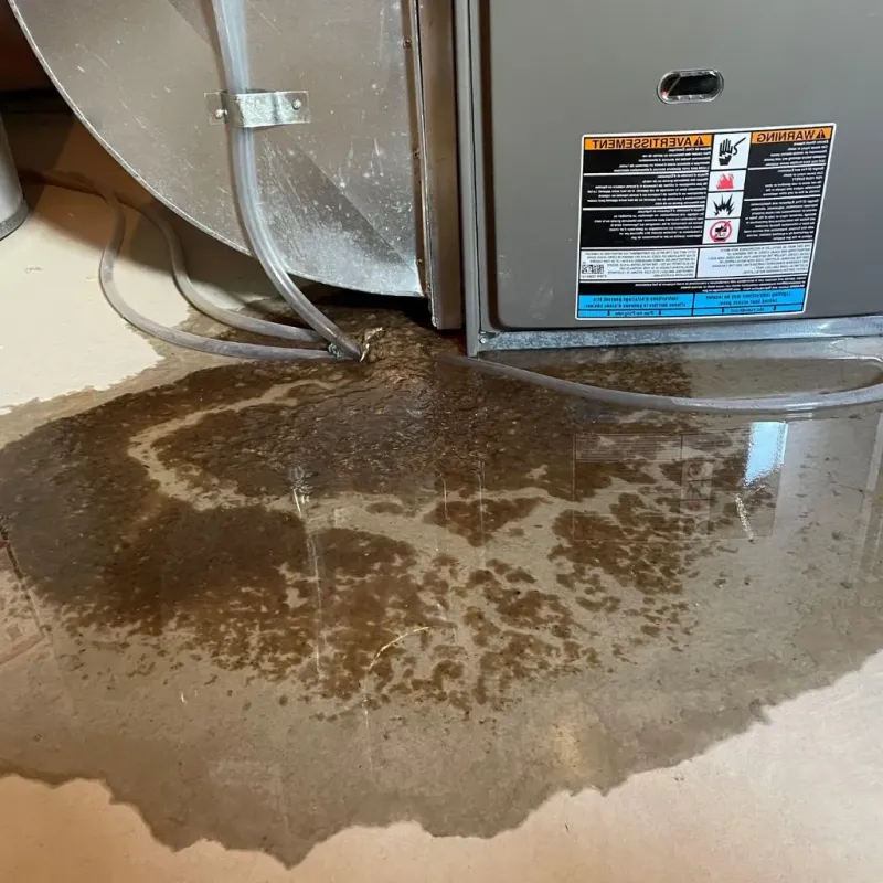 Pipe Burst and Leak Restoration in West Liberty, IA