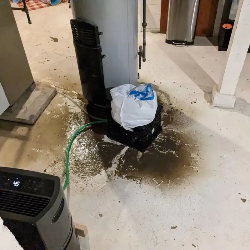 Sewage Backup Cleanup Service in West Liberty, IA